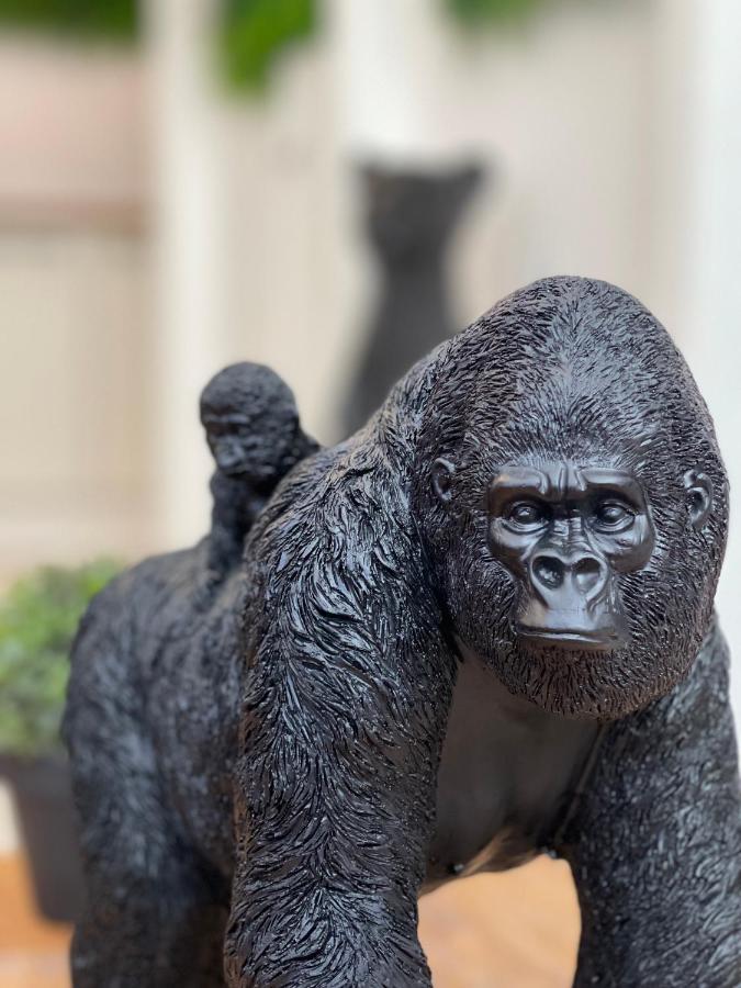 Tous'O'Zoo, Au Coeur Du Centre-Ville Saint-Aignan  Buitenkant foto