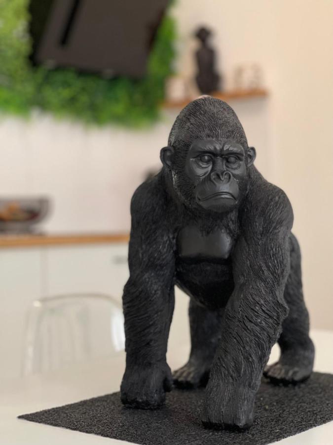 Tous'O'Zoo, Au Coeur Du Centre-Ville Saint-Aignan  Buitenkant foto