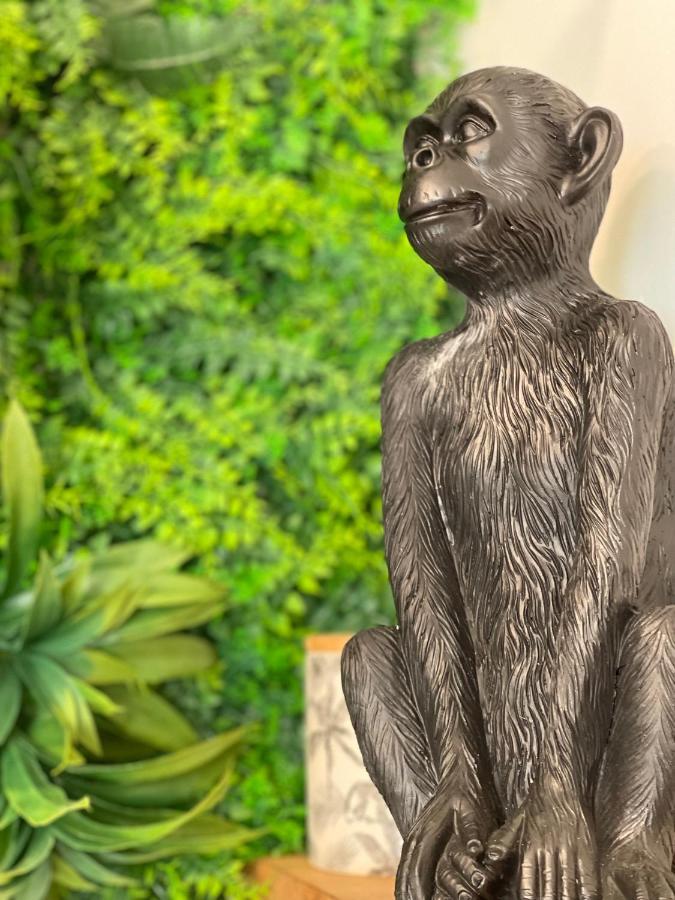 Tous'O'Zoo, Au Coeur Du Centre-Ville Saint-Aignan  Buitenkant foto